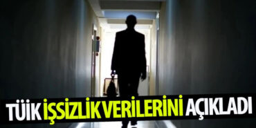 TÜİK İşsizlik - Şubat 2024