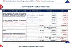 2024 Vergi Cezaları