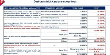 2024 Vergi Cezaları