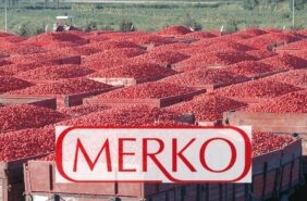 merko 282x188 2