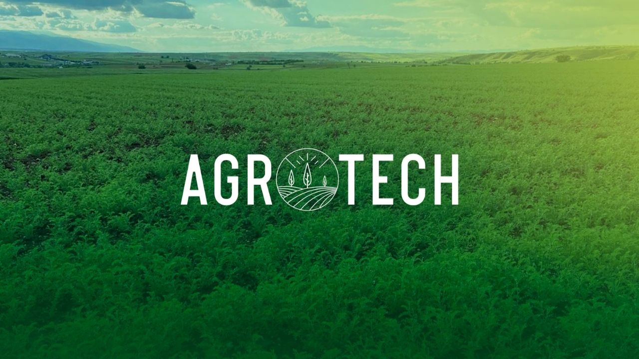 Reeder, Agrotech, Peker GYO... İşte 2025 yılında zirvesine en uzak hisseler! HABERLER, Gündemdekiler, Piyasa Haberleri Xekonomi