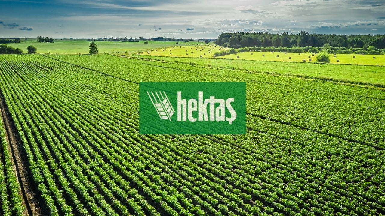 hekts 2 1
