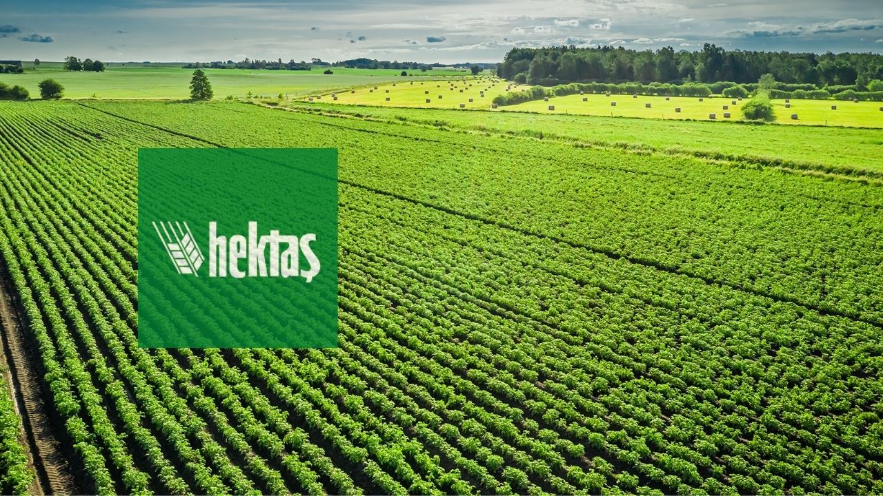 Yatırımcı sayısı en yüksek hisseler HABERLER, Gündemdekiler, Piyasa Haberleri, Şirket Haberleri Xekonomi