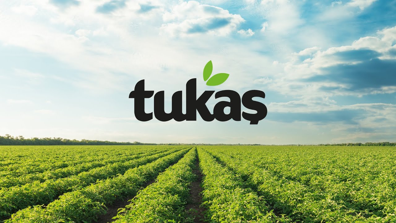 tukas 1 1